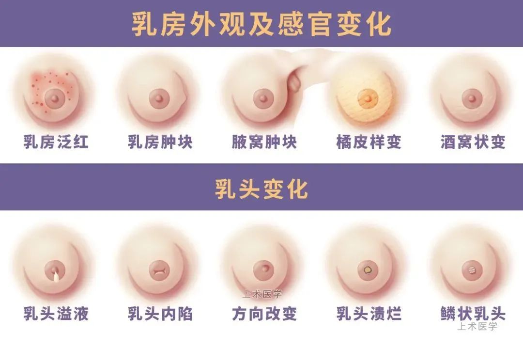 94301633734648765