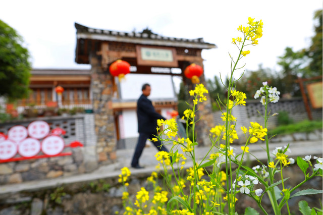 On April 13th, the rural scenery was shot on the outskirts of Fengxiang Town, Bozhou District, Zunyi City, Guizhou Province. Xinhua news agency.